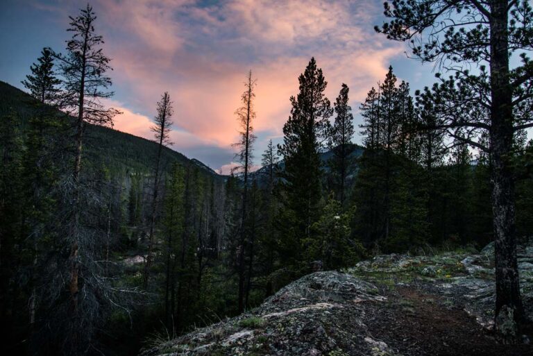 White River National Forest at sunset